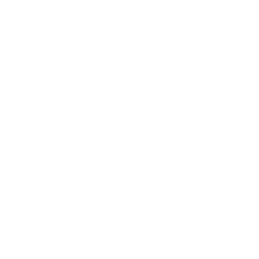 Icono Jiu Jitsu