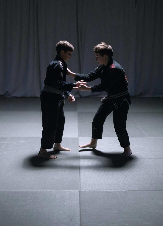 artes marciales